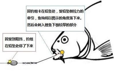 鱼钩拉饵料视频教程