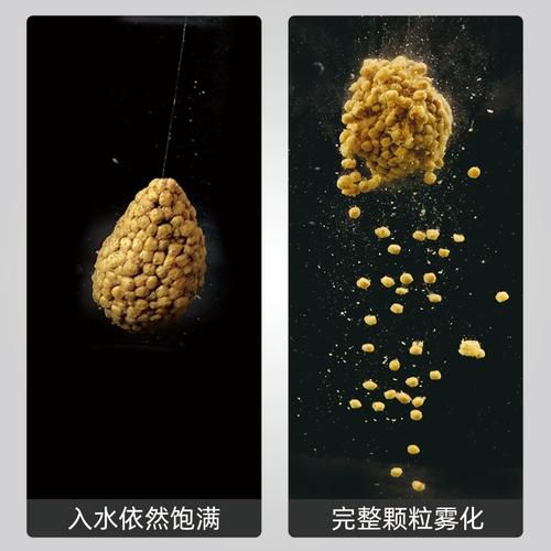 浮水颗粒冬钓鲫鱼开饵