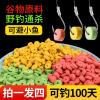 钓鱼怎样把饵料雾化
