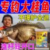 冬季适合钓鳜鱼的饵料