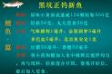鲤鱼黑坑饵料怎么配