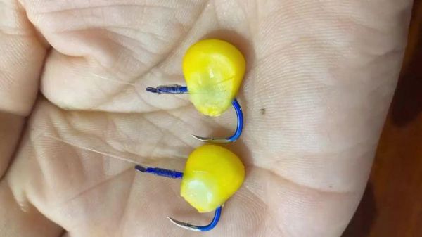 玉米粒饵料挂钩方法