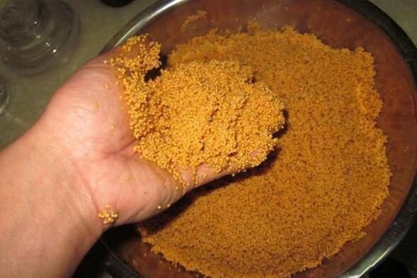 自制钓鱼经典打窝饵料