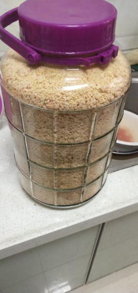 玉米面发酵饵料 自制