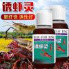 鱼儿吃不吃龙虾饵料