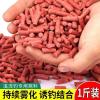 冬钓窝料有哪些好用