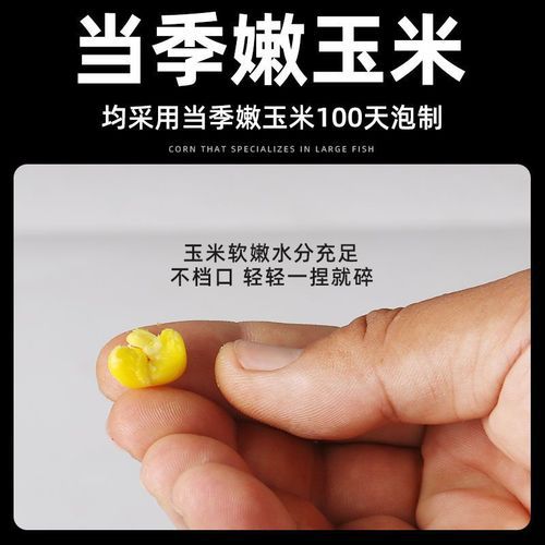 玉米钓鱼饵料做法视频