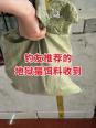夏季钓鱼饵料如何搭配