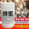 鲤鱼饵料加蜂蜜好钓吗