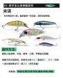 用什么饵料钓光倒刺鲃