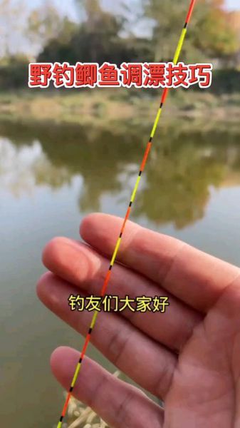 冬钓黑坑鲫鱼调漂视频