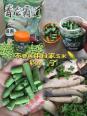 青鱼自制饵料配方法