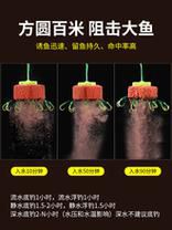 小麦怎样做爆炸钩饵料