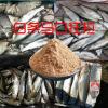 冬钓大马口用什么饵