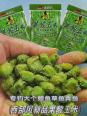 玉米加饵料如何钓青鱼