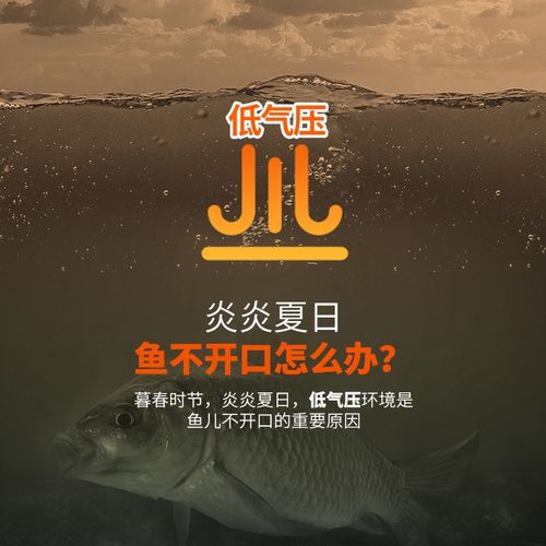 果香饵料适合哪个季节