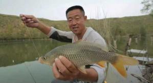 李大毛钓草鱼的精彩瞬间——探索钓鱼高手的秘籍