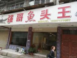 强哥渔具店 太湖县强哥