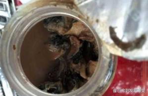 终极钓鱼秘笈：自制青鱼草鱼药酒配方大揭秘