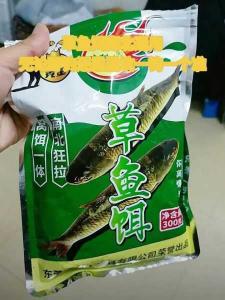 钓草鱼要用什么鱼饵 冬季黑坑钓草鱼用什么饵最好