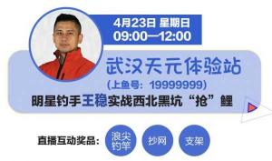 揭秘武汉天元王稳教主线:一个真正的钓鱼人的故事