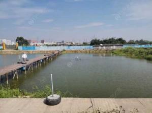 五福渔具:呙江畔的钓鱼胜地