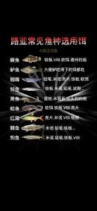 草鱼路亚饵选择指南:探索最佳诱饵策略