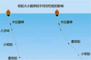 阿波钓法怎么知道中鱼 阿波钓草鱼教学视频