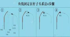 如何栓制鱼竿主线:详细步骤与技巧解析