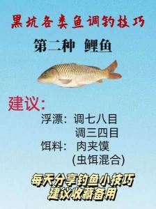 黑坑草鱼怎么钓上鱼快 黑坑钓草鱼饵料配方
