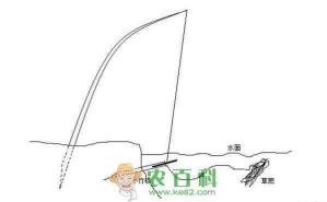 用草钓草鱼怎么挂钩 钓草鱼怎么钩草示意图