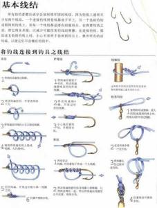 如何拴钓鱼钩线 钓鱼怎么绑主线