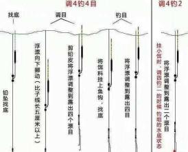 冬季黑坑钓青鱼怎样调漂 钓黑坑怎么调漂和找底