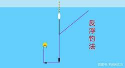 ### 夜钓草鱼秘籍:实战技巧与钓鱼心法