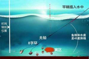 冬季黑坑青鱼如何找鱼窝 黑坑老青鱼不开口怎么钓