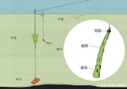 钓黑坑草鱼如何精准打窝?草鱼窝料的秘诀