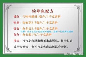 野钓草鱼秘籍：高效打窝饵料配方大揭秘