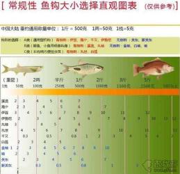 过河钓主线应该配多大的线径?——钓鱼新手进阶指南