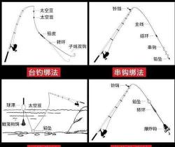 抛杆钓草鱼：专业饵料选择与使用指南