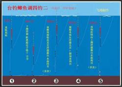 四海渔具钓鱼实战技巧分享:从新手到高手的蜕变之路