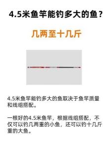 4.5米鱼竿一般主线要多长合适 12米鱼竿配多长的主线