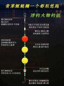 《钓草鱼必备技巧：草鱼线组图片大全及深度解析》