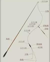 深入了解鱼竿主线结构:构造与特性的全面解析