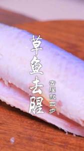 如何去除草鱼的腥味——详细步骤与技巧分享