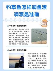 草鱼漂浮在水面怎么钓 草鱼浮在水面怎么调漂