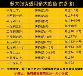 草鱼几月份开口好钓 怎么钓草鱼最快