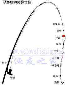 1.5主线用几号漂合适 5号矶竿用几号主线