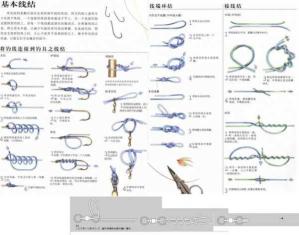 主线绑定要素:细节详解与应用策略