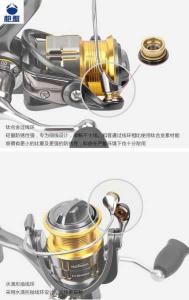 高质量渔具轮的选择与使用指南