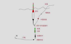矶钓线能否作为主线使用?全面解析矶钓线的特性与应用场景